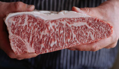 Purchase nets Southern Stations access to top Wagyu genetics