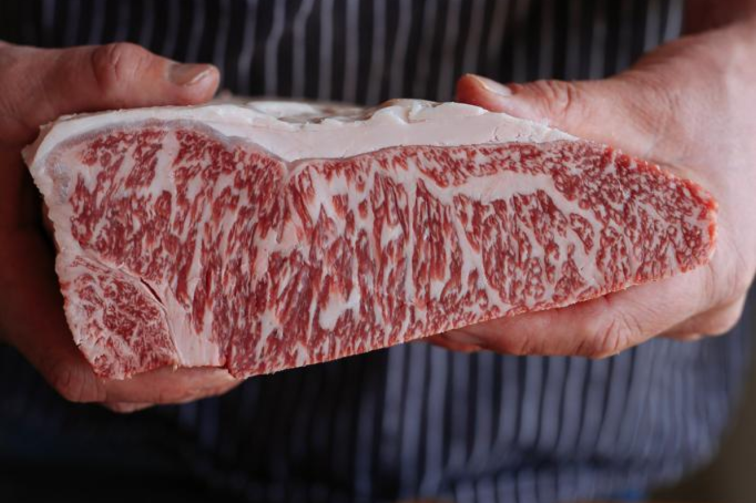 Purchase nets Southern Stations access to top Wagyu genetics