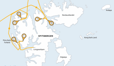 To the Arctic, part 4. Walruses and icebergs – Why Evolution Is True