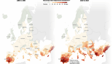 Visualizing Progression of Heat Waves in Europe – Center for Data Innovation