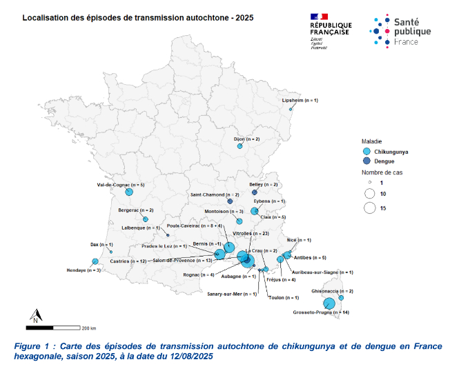 Map showing locally transmitted cases of chikungunya and dengue reported in 2025.