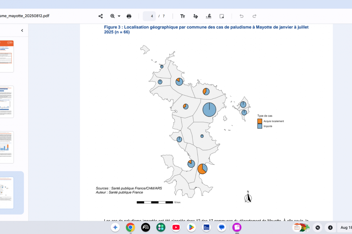 France's Mayotte Department Detects 12 Local Malaria Cases — Vax-Before-Travel