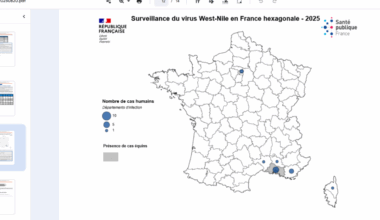 West Nile Virus Outbreak Along France's Mediterranean Coast — Vax-Before-Travel