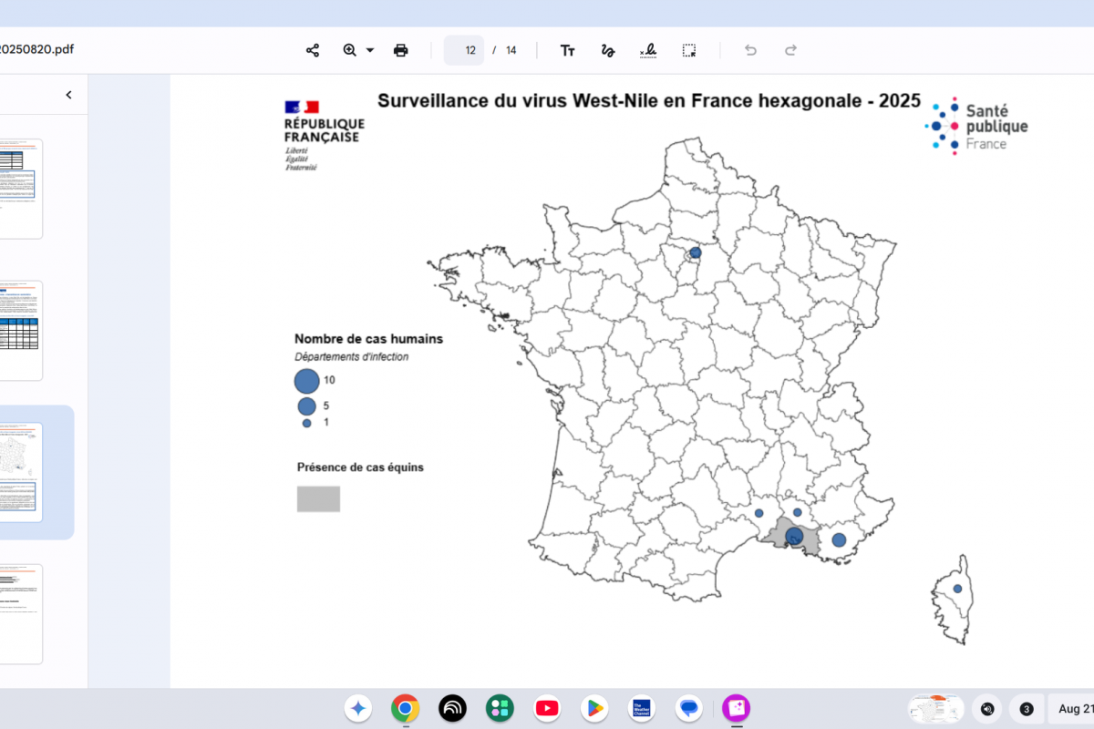 West Nile Virus Outbreak Along France's Mediterranean Coast — Vax-Before-Travel