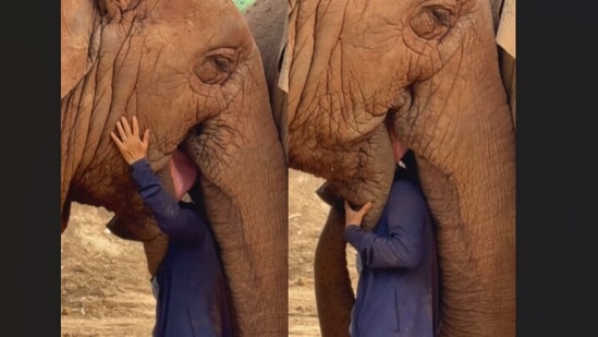 A woman sang to an elephant, who wrapped its trunk around her in a tender moment that captured hearts online.(Instagram/lek_chailert)