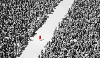 Why do so many of us want to be alone?