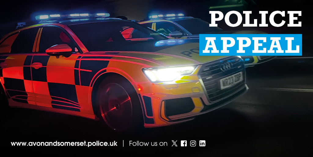 Witnesses sought after Bristol assault