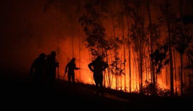 Southern Europe wildfires leave 3 dead, thousands displaced - National