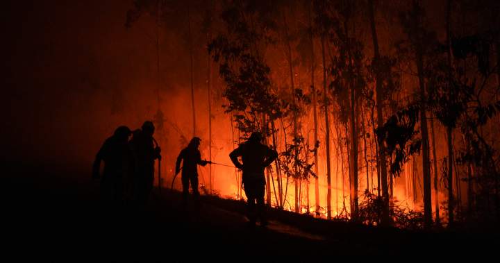 Southern Europe wildfires leave 3 dead, thousands displaced - National
