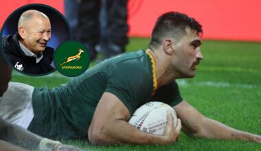 Springboks need the 'old formula' as they 'transition'