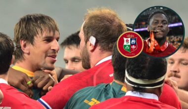 Lions restored tarnished image after disgraceful Springboks tests