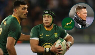 'Springboks fans prefer winning even if it's boring'