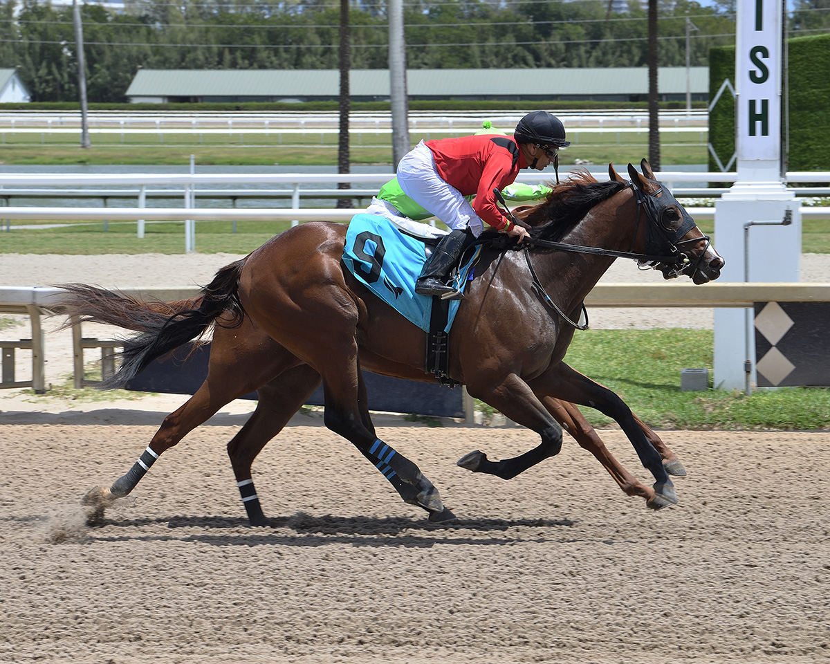 Squire Produces ‘Bullet’ Work for Next Saturday’s FSS Dr. Fager
