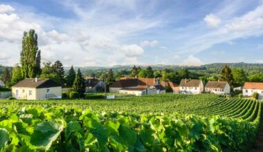 This French City Is Just 45 Minutes From Paris—and It Has Miles of Underground Champagne Cellars