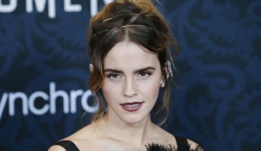 ‘The Year of Dramione’: Fan fiction’s leap to bookstore shelves