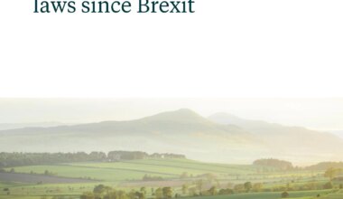 The fate of retained EU laws since Brexit » Green Alliance