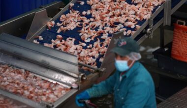 Walmart recalls shrimp over possible radioactive contamination