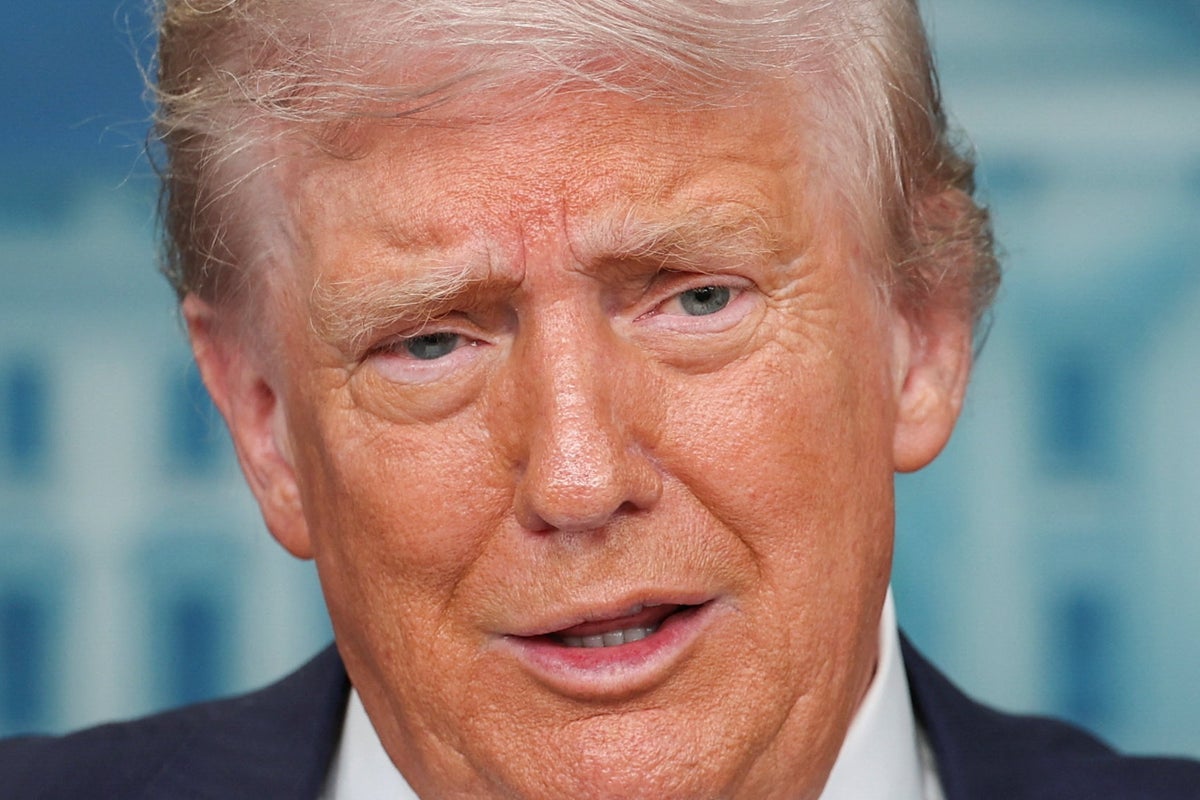 New AI chatbot keeps fact-checking president Donald Trump on Truth Social - The Independent