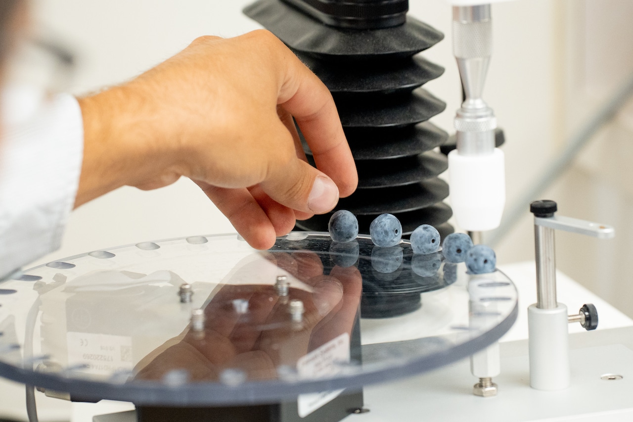 In small town Michigan, this genetics company is shaping the future of blueberries