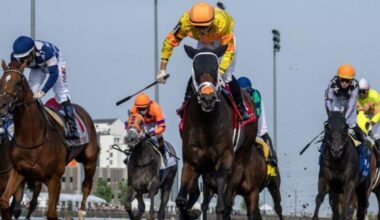 Final decision on Mansetti running in Prince of Wales to be made next week