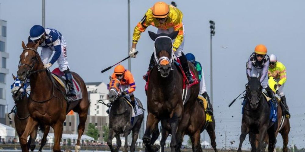 Final decision on Mansetti running in Prince of Wales to be made next week