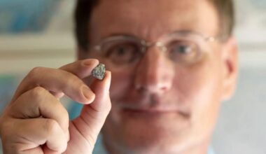 Meteorite Crashes Into Georgia Home, Turns Out to Be 20 Million Years Older Than Earth