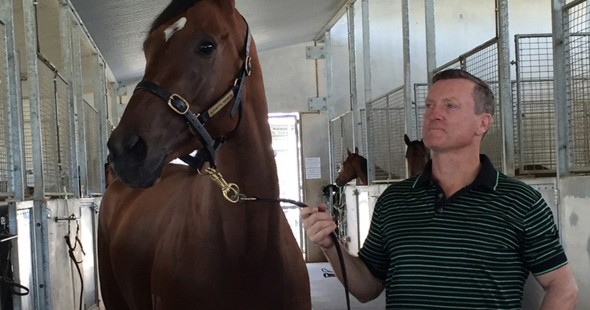 Vandyke to take it slow with Acapulco Girl :: Racing Queensland