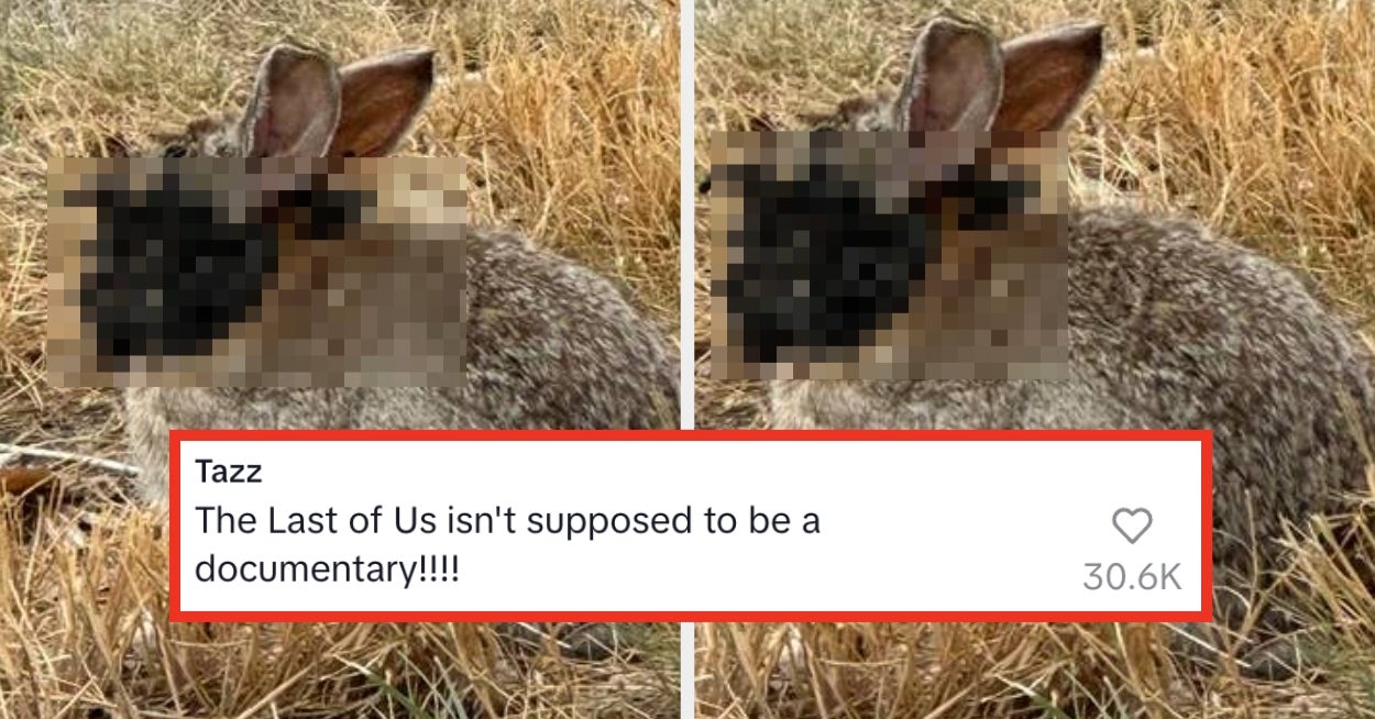 The Viral Colorado Rabbits With Tentacles, Explained
