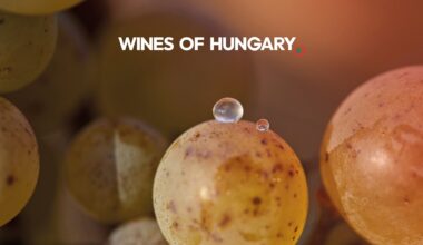 Wines of Hungary readies London for its distinctive wines