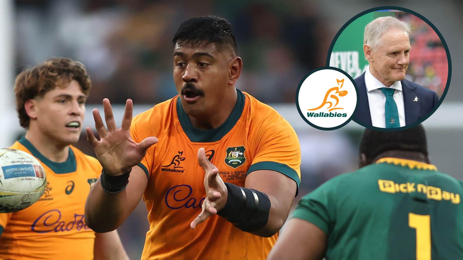 Will Skelton released as Australia won't enforce World Rugby reg 9