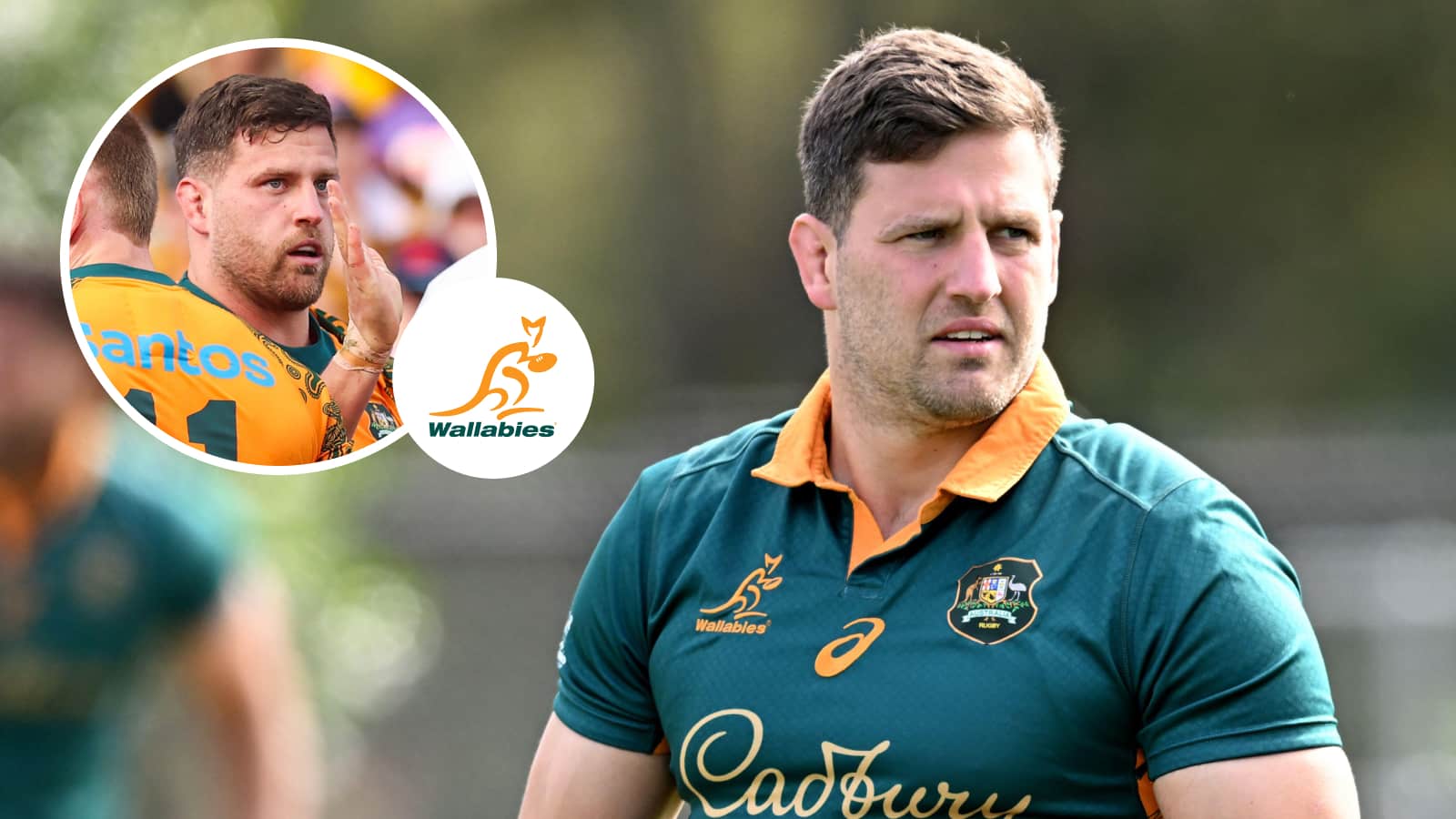 Dave Porecki makes shock retirement after B&I Lions Series