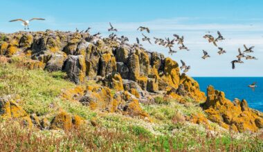 Why coastal Fife is one of Scotland's best walking adventures
