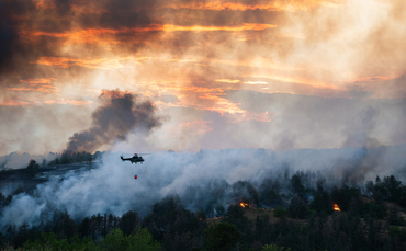 Global Briefing: Europe endures worst wildfire season on record
