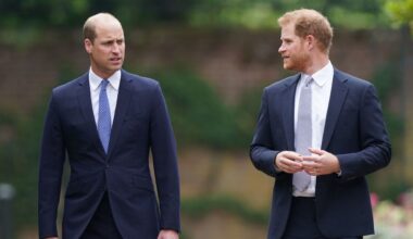 Prince William and Harry's Regret Over Last Phone Call With Princess Diana