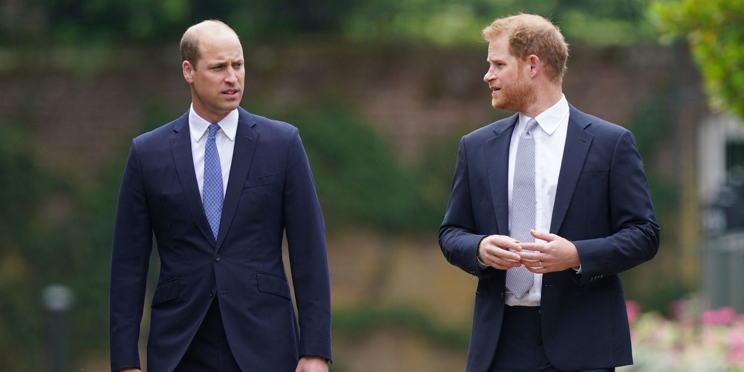 Prince William and Harry's Regret Over Last Phone Call With Princess Diana