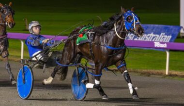 Gloucester Park Harness Racing