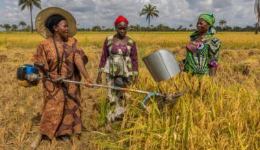 Women-farmers-working-on-a-plantation-Copy