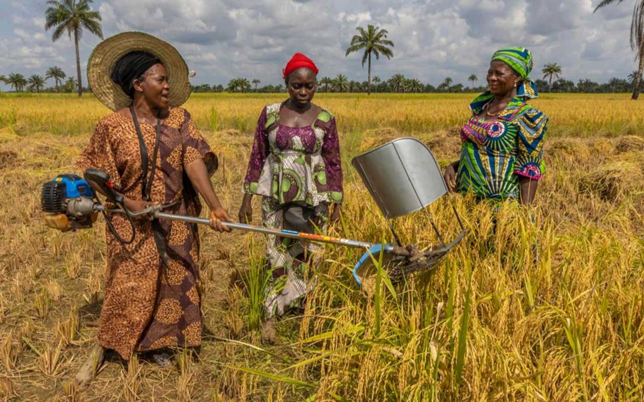 Women-farmers-working-on-a-plantation-Copy