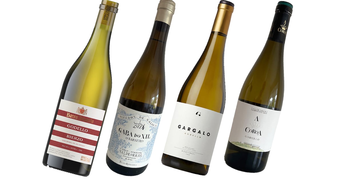 Move over Albariño, make way for godello – Spain’s answer to chardonnay – The Irish Times