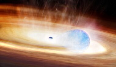 An illustration of a supernova eating a black hole