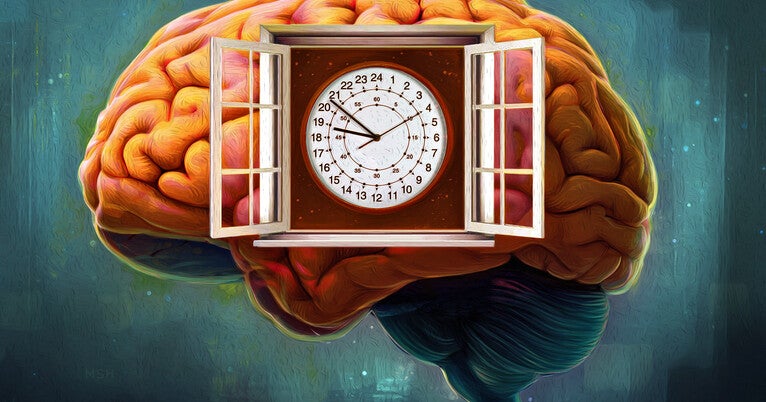 Timing is everything: Finding treatment windows in genetic brain disease