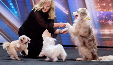 Britain’s Got Talent finalist The Trickstars heading to Meadowbark dog festival in Kedington, near Haverhill