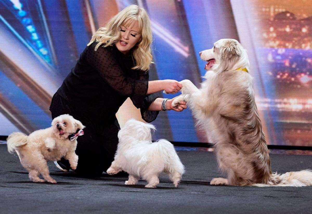 Britain’s Got Talent finalist The Trickstars heading to Meadowbark dog festival in Kedington, near Haverhill