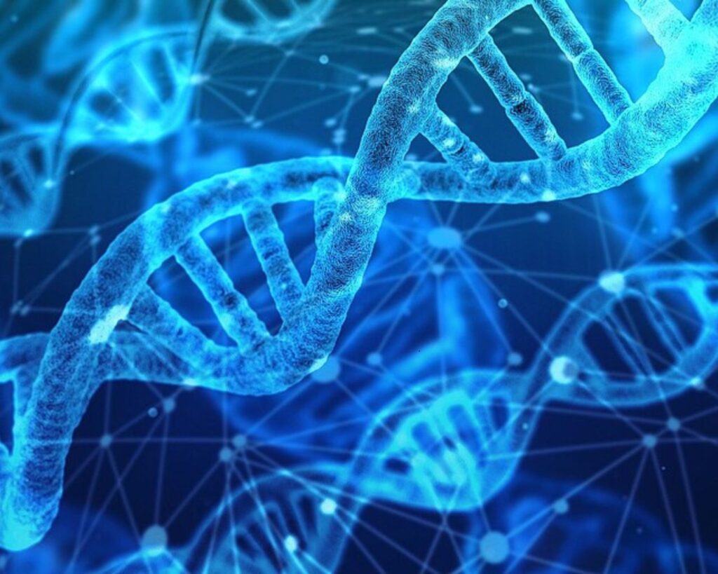 GAIA, a breakthrough DNA tool, identifies shared ancestors and tracks human movement across time, reshaping genetic research.