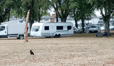Travellers return to picturesque park despite council installing barriers to stop caravans