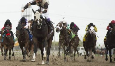 Ontario Lottery and Gaming Corporation players can now bet on live horse races