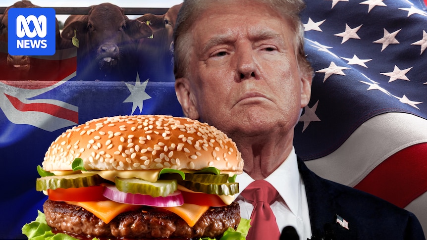Australian cow market takes off as tariffs loom and US burger prices rise