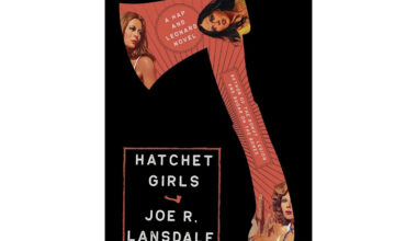 A gang of hatchet-wielding women try to take over the meth business in rural Texas