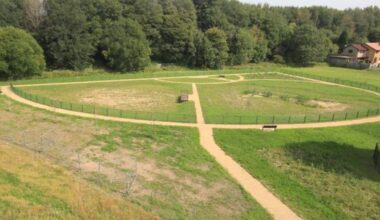 An aerial view showing the Ribble Sidings wetlands which is currently too dry to be opened Pic: Environment Agency