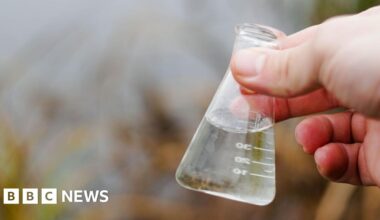 Major rivers in Suffolk to get routine sewage pollution tests
